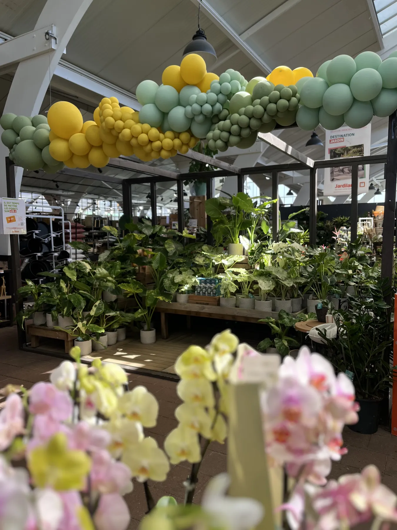 Décor de ballons pour un évènement commercial en jardinerie